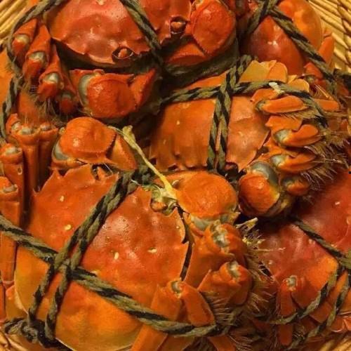 刘大瓜吃大闸蟹,畅享大闸蟹美食盛宴