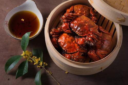 刘大瓜吃大闸蟹,畅享大闸蟹美食盛宴