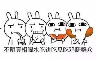 吃瓜人设英语,Unveiling the Enigma: A Glimpse into the Life of a Modern-day Gossiper