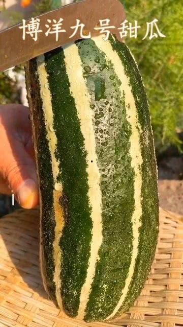 你吃瓜怎么吃瓜,揭秘如何吃瓜不累，畅享夏日清凉