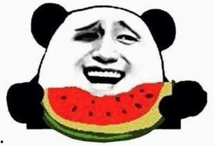 你吃瓜怎么吃瓜,揭秘如何吃瓜不累，畅享夏日清凉