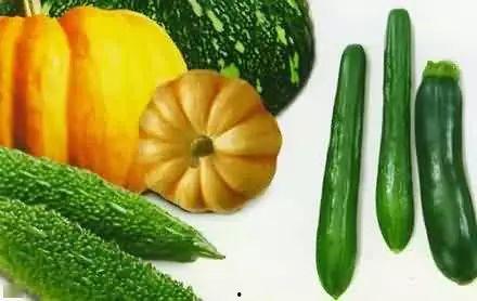 吃瓜刘文龙,揭秘娱乐圈背后的故事