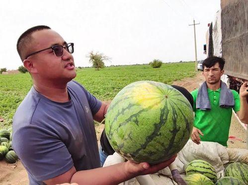 吃瓜刘文龙,揭秘娱乐圈背后的故事