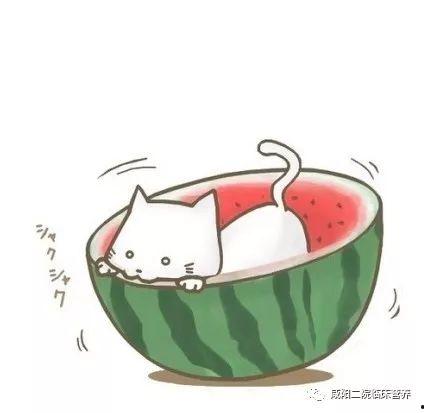 吃瓜情侣对称头像