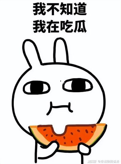 包龙星吃瓜,揭秘娱乐圈背后的秘密与真相