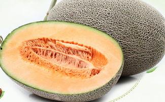 吃哈密瓜寒凉,哈密瓜的寒凉魅力