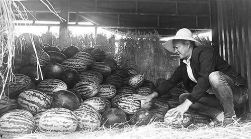 大窑吃瓜群众,揭秘网络热点的幕后故事