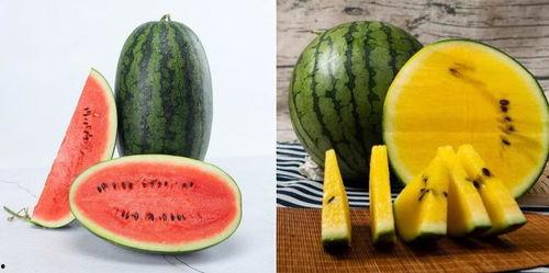 咿呀吃瓜,揭秘娱乐圈那些不为人知的幕后故事