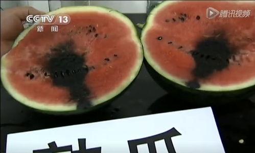 吃瓜打石头视频