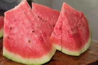 吃瓜打石头视频