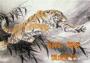 虎扑吃瓜ps,揭秘网络红人的幕后故事