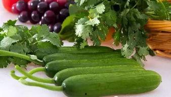 每天都在吃瓜的职业,揭秘每日吃瓜职业的奇妙世界