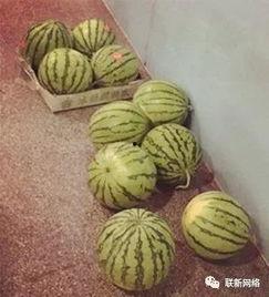 洞波吃瓜群众,揭秘网络热议背后的真相