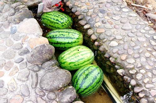 墓土吃瓜,一场吃瓜引发的神秘探险