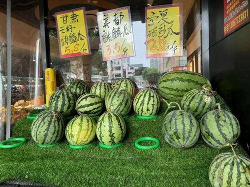 蜜蜂麒麟瓜怎么吃,美味多汁，轻松享用的夏日佳品