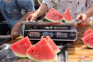 吃瓜群众聊城,聊城事件背后的真相与反思