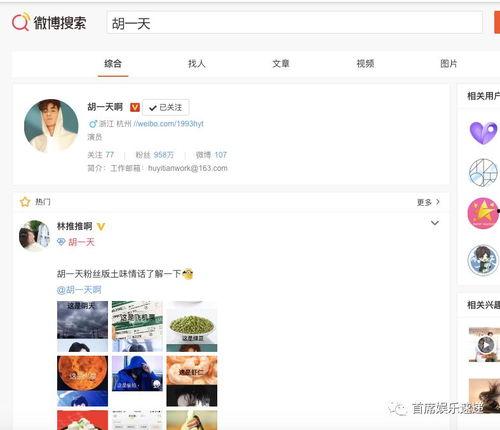 吃瓜网站资源,海量资源一网打尽，带你畅游娱乐资讯海洋