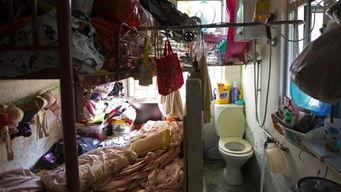 吃瓜群众香港,吃瓜群众视角下的繁华与争议