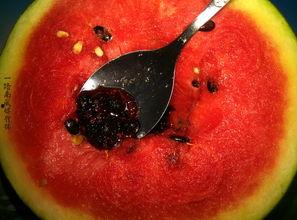 广东吃瓜人视角,广东人独特的“吃瓜”文化探秘