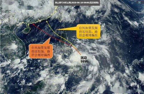 台风登陆泉州吃瓜,市民“吃瓜”见证风雨中的城市韧性
