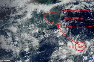 台风登陆泉州吃瓜,市民“吃瓜”见证风雨中的城市韧性