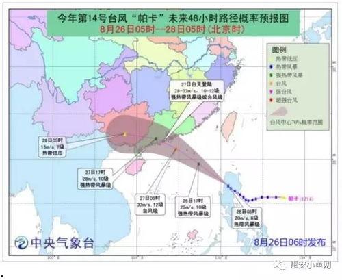 台风登陆泉州吃瓜,市民“吃瓜”见证风雨中的城市韧性