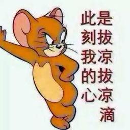 吃瓜群众套装图片,潮流与幽默的完美融合