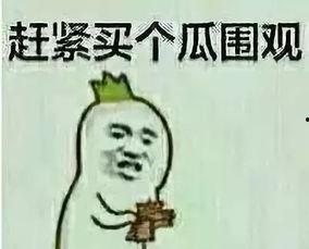 吃瓜群众跪着打游戏视频,揭秘网络热传跪打游戏现象背后的真相