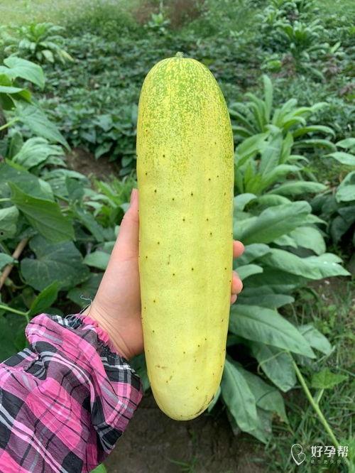 今晚吃的瓜,揭秘娱乐圈最新热点事件