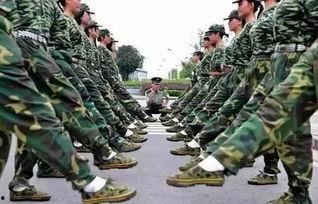 ccgg今日吃瓜军训