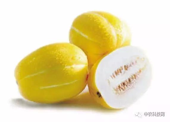 吃瓜减肥会不会便秘,轻松减脂，避免便秘的秘诀