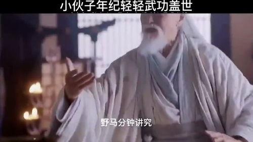 吃瓜男子武功盖世,武林奇才，武功盖世传奇