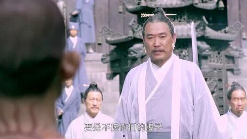 吃瓜男子武功盖世,武林奇才，武功盖世传奇