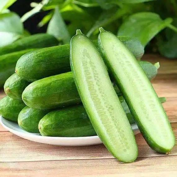 大瓜小瓜吃的菜,一场蔬菜盛宴的味蕾之旅