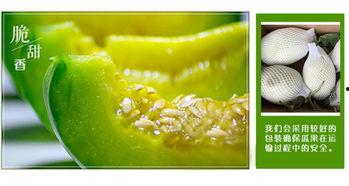 二楞子吃瓜,揭秘瓜界奇闻轶事