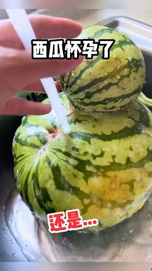 搞笑吃瓜视频推荐,让你笑到肚子疼