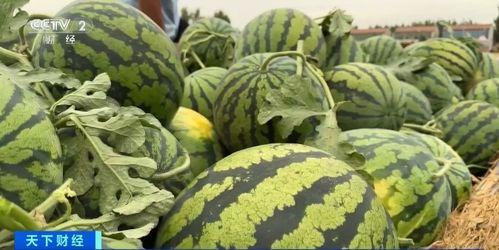 小陆现场吃瓜后续,揭秘娱乐圈幕后真相