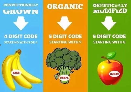 nabi贴纸吃瓜,揭秘网红贴纸背后的趣味生活