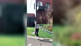 吃瓜神探源码,源码背后的探案奥秘