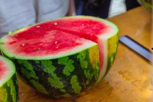 吃瓜大怪,网络红人的崛起与影响力