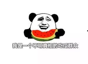 吃瓜都挺好,共享美好时光