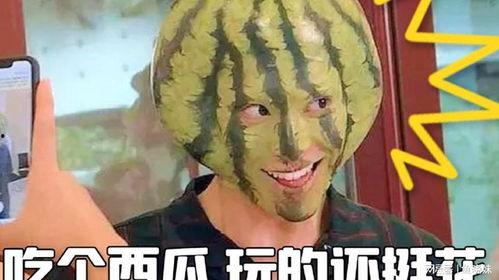 吃瓜都挺好,共享美好时光