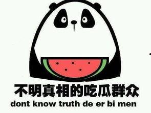 吃瓜都挺好,共享美好时光