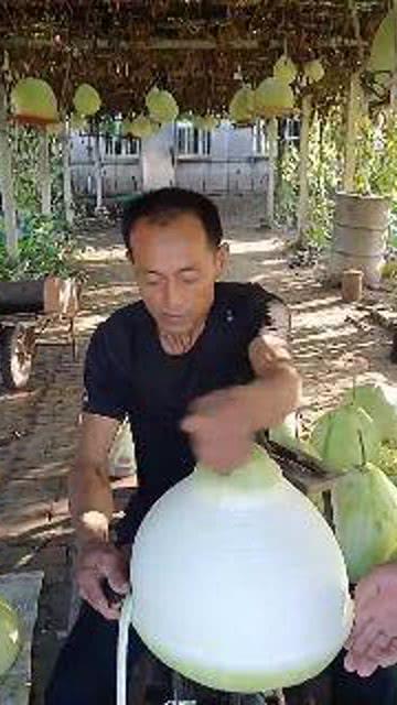 吃瓜群众瓜哥东北人,揭秘东北特色美食与风土人情