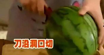 吃瓜群众瓜哥东北人,揭秘东北特色美食与风土人情