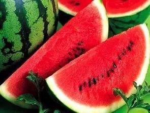 做可以吃的瓜,探寻美味可口的瓜类美食之旅