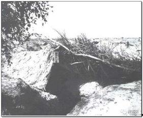 自由吃瓜流浪地,流浪地上的逍遥人生