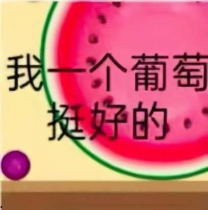 只吃瓜不吃亏,只吃瓜不吃亏的智慧生活指南