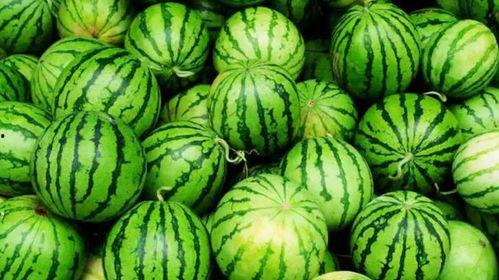 林职吃瓜,揭秘娱乐圈背后的那些事儿