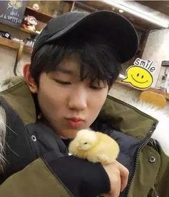 吃瓜王源,娱乐圈幕后那些事儿